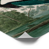 Poster Louisiane Heron Birds of America Audubon Print (Coin)