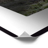 Poster Louisianna-Sunrise-Poster - Customisé (Coin)