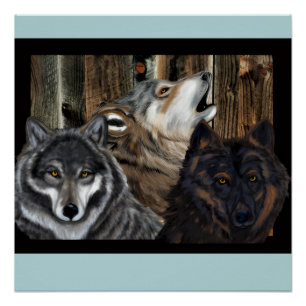 POSTER LOUP