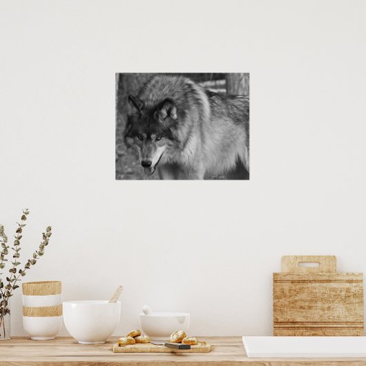 Poster Loup (Cuisine)