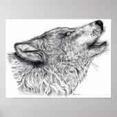Poster Loup (Devant)