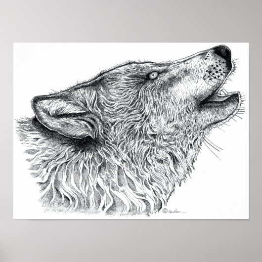 Poster Loup (Devant)