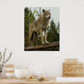 Poster Loup (Cuisine)