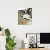 Poster Loup (Bureau à domicile)