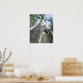 Poster Loup à Yellowstone. (Cuisine)