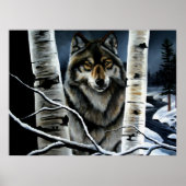 Poster Loup Alpha (Devant)