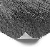 Poster Loup arctique (Coin)