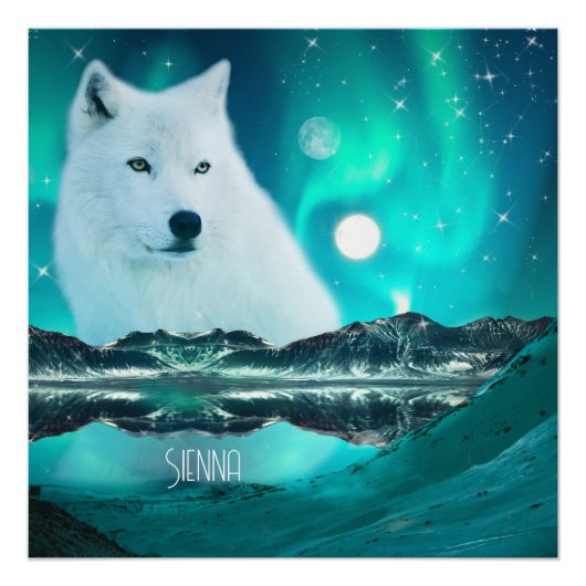 Poster Loup arctique la nuit avec aurores boréales (Devant)