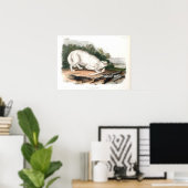 Poster Loup blanc américain par John James Audubon (Bureau à domicile)
