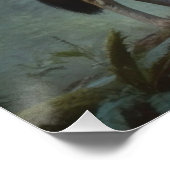 Poster Loup dans la forêt (Coin)