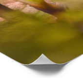 Poster Loup dans la forêt (Coin)