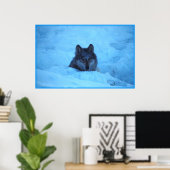 Poster Loup de bois de neige bleu Imprimer (Bureau à domicile)