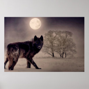 Poster Loup de Pleine lune.