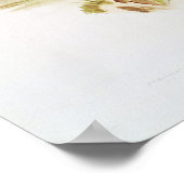 Poster Loup de Tasmanie ou tigre (Coin)