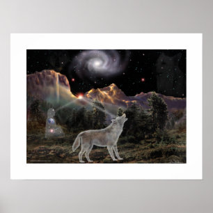 Poster Loup d'étoile