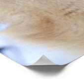 Poster Loup d'hiver 2 (Coin)