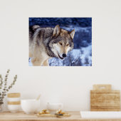 Poster Loup d'hiver 2 (Cuisine)