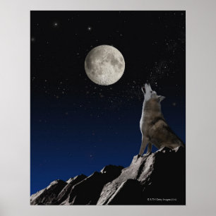 Poster Loup d'hurlement