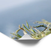 Poster Loup en vêtements de mouton (Coin)