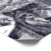 Poster Loup et lac (Coin)