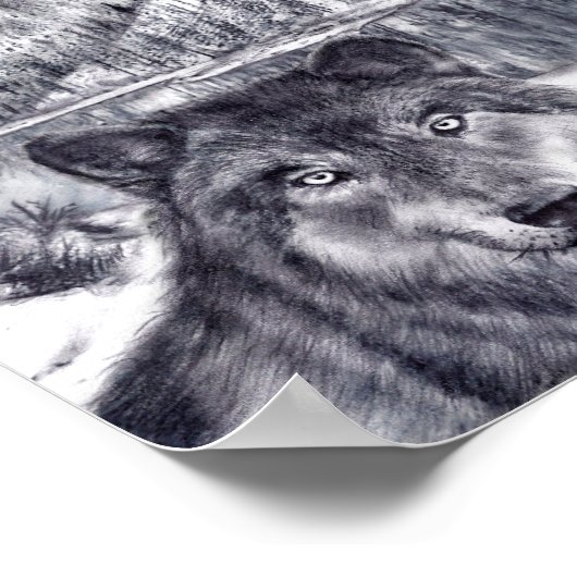 Poster Loup et lac (Coin)