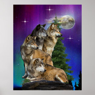 Poster Loup et lune