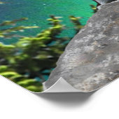 Poster Loup et lune (Coin)