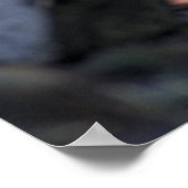 Poster Loup gris (Coin)