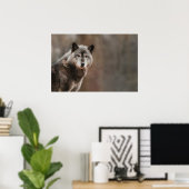 Poster Loup gris (Bureau à domicile)