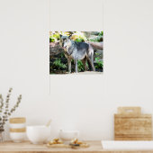 Poster Loup gris debout seul (Cuisine)