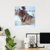 Poster Loup gris en hiver (Bureau à domicile)