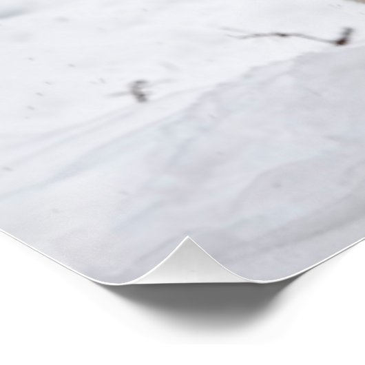 Poster Loup gris-oriental (Coin)