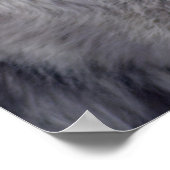 Poster Loup gris Pose-168 (Coin)