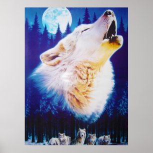 Poster Loup hurlant à la pleine lune bleue