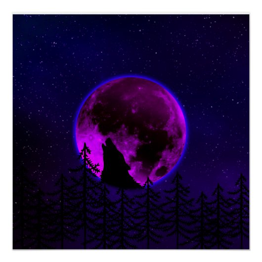 POSTER LOUP HURLANT LUNE MAGENTA  (Devant)