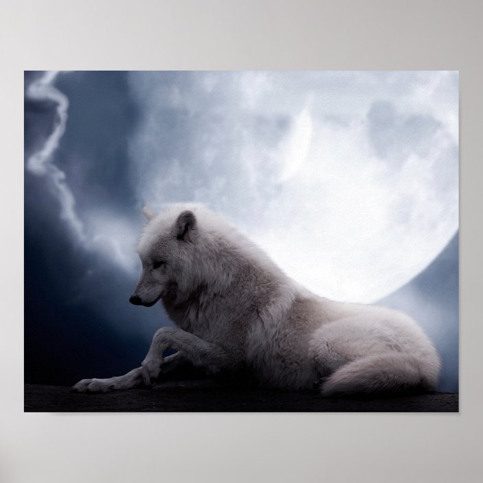 Poster Loup Impressionnant Et Loup Blanc De Lune Zazzlebe