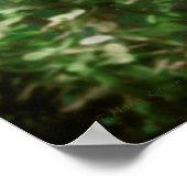 POSTER LOUP LIBRE DE VIVRE (Coin)