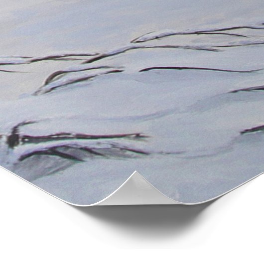 Poster Loup noir (Coin)