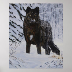 Poster Loup noir