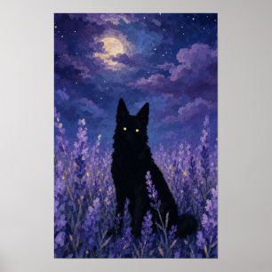 Poster Loup noir dans champ de lavande