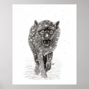 Poster Loup noir en colère dans la neige, hiver sauvage