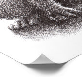 Poster loup ou chien (Coin)