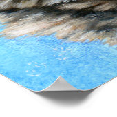 Poster Loup peint (Coin)