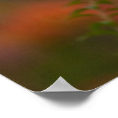 Poster Loup rouge (Coin)