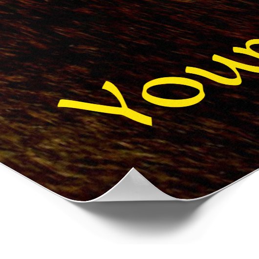 Poster Loup solitaire (Coin)