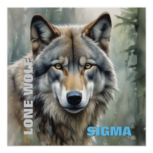 Poster Loup solitaire masculin de Sigma (Devant)