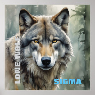 Poster Loup solitaire masculin de Sigma