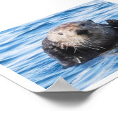 Poster Loupe de mer (Coin)