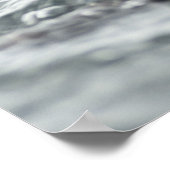 Poster Loupe de mer adorable (Coin)