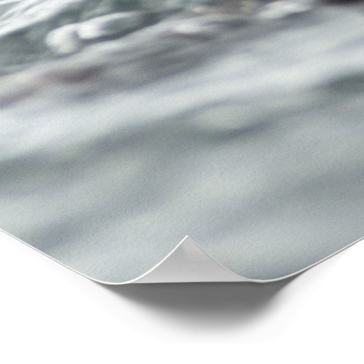 Poster Loupe de mer adorable (Coin)